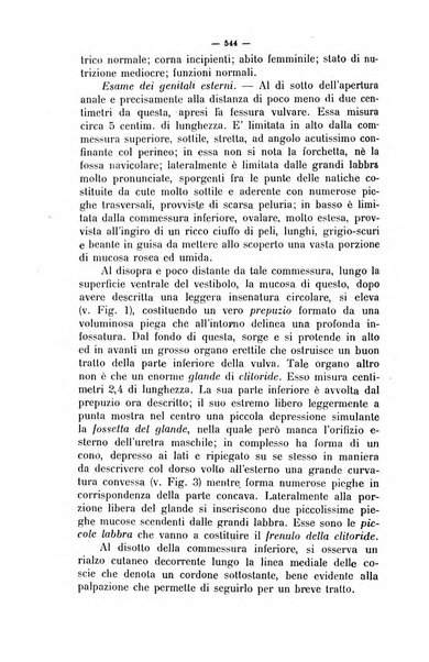 La clinica veterinaria rivista di medicina e chirurgia pratica degli animali domestici