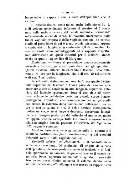 La clinica veterinaria rivista di medicina e chirurgia pratica degli animali domestici