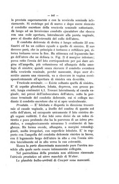 La clinica veterinaria rivista di medicina e chirurgia pratica degli animali domestici