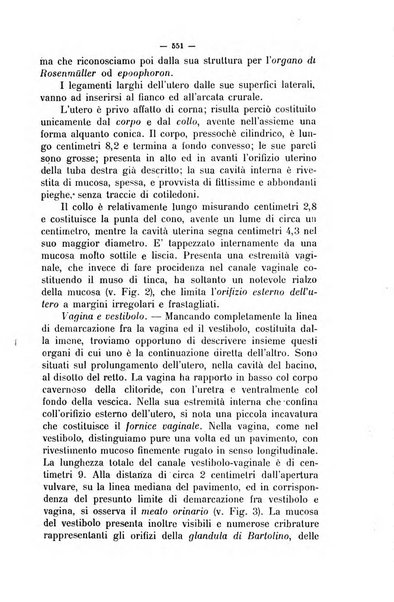 La clinica veterinaria rivista di medicina e chirurgia pratica degli animali domestici