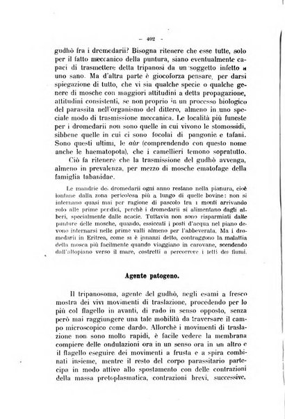 La clinica veterinaria rivista di medicina e chirurgia pratica degli animali domestici