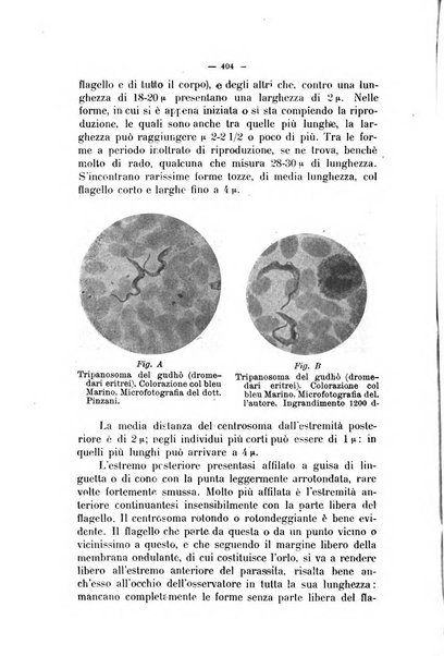 La clinica veterinaria rivista di medicina e chirurgia pratica degli animali domestici