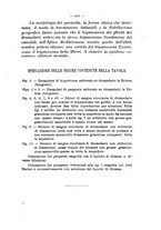 giornale/MIL0124118/1918/unico/00000513