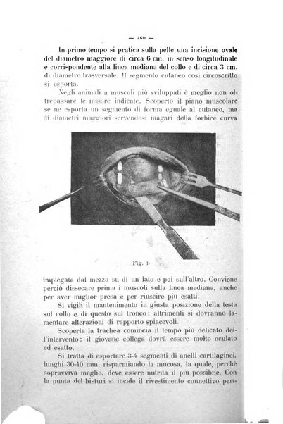 La clinica veterinaria rivista di medicina e chirurgia pratica degli animali domestici