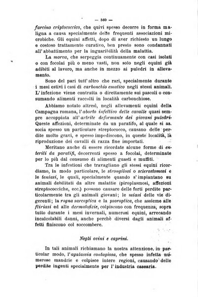 La clinica veterinaria rivista di medicina e chirurgia pratica degli animali domestici