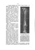 giornale/MIL0124118/1919/unico/00000166