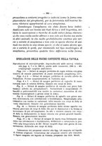 giornale/MIL0124118/1919/unico/00000365