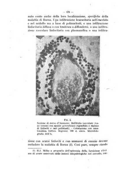 La clinica veterinaria rivista di medicina e chirurgia pratica degli animali domestici