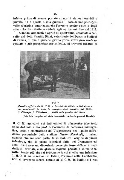 La clinica veterinaria rivista di medicina e chirurgia pratica degli animali domestici