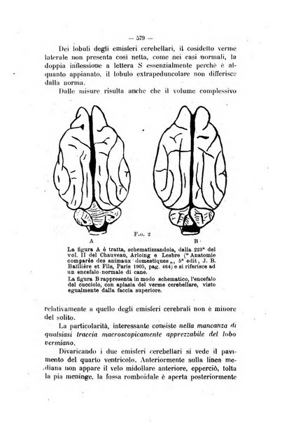 La clinica veterinaria rivista di medicina e chirurgia pratica degli animali domestici