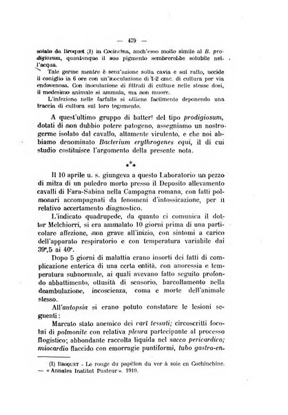 La clinica veterinaria rivista di medicina e chirurgia pratica degli animali domestici