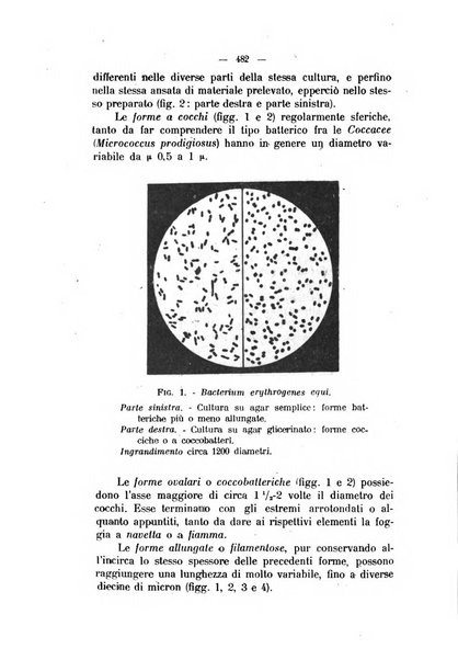 La clinica veterinaria rivista di medicina e chirurgia pratica degli animali domestici