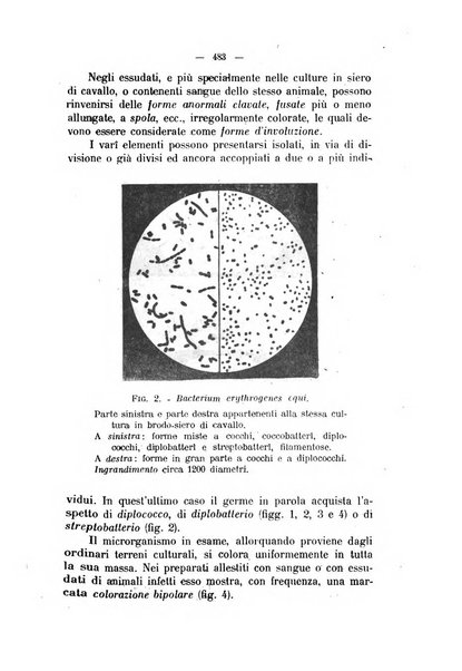 La clinica veterinaria rivista di medicina e chirurgia pratica degli animali domestici