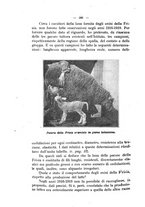 giornale/MIL0124118/1920/unico/00000644