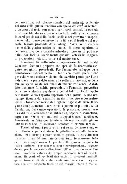 La clinica veterinaria rivista di medicina e chirurgia pratica degli animali domestici