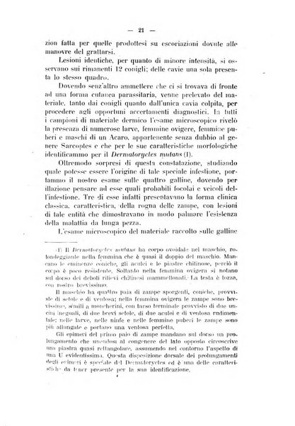 La clinica veterinaria rivista di medicina e chirurgia pratica degli animali domestici