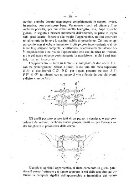 La clinica veterinaria rivista di medicina e chirurgia pratica degli animali domestici