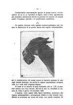giornale/MIL0124118/1921/unico/00000659