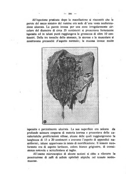 La clinica veterinaria rivista di medicina e chirurgia pratica degli animali domestici