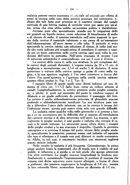 La clinica veterinaria rivista di medicina e chirurgia pratica degli animali domestici