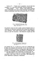giornale/MIL0124118/1923/unico/00000635