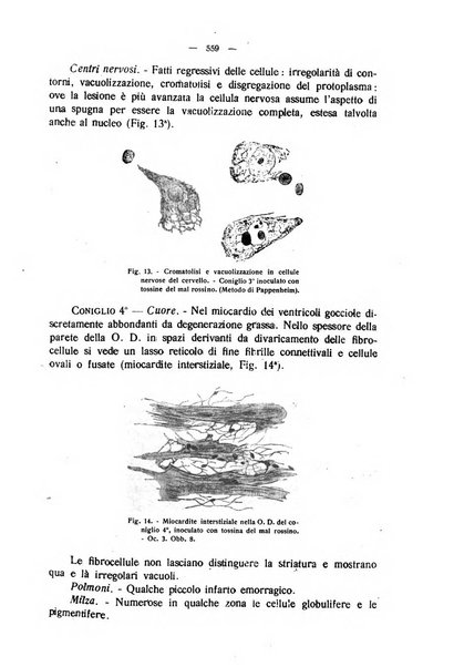 La clinica veterinaria rivista di medicina e chirurgia pratica degli animali domestici