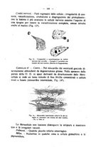 giornale/MIL0124118/1923/unico/00000647
