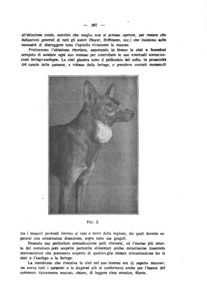 La clinica veterinaria rivista di medicina e chirurgia pratica degli animali domestici