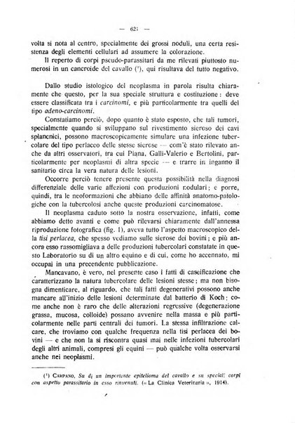 La clinica veterinaria rivista di medicina e chirurgia pratica degli animali domestici