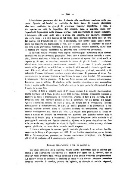 La clinica veterinaria rivista di medicina e chirurgia pratica degli animali domestici