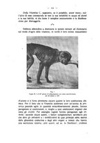 giornale/MIL0124118/1924/unico/00000234