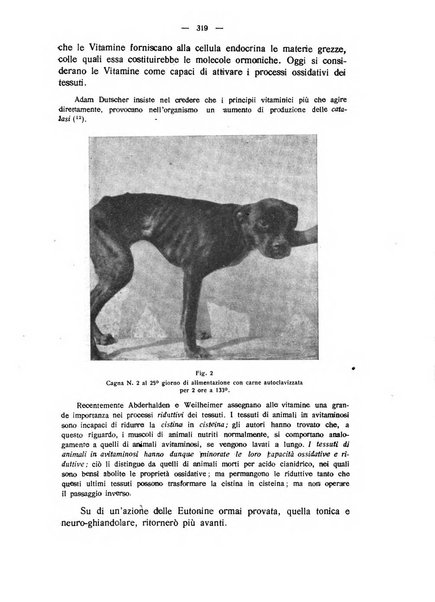 La clinica veterinaria rivista di medicina e chirurgia pratica degli animali domestici