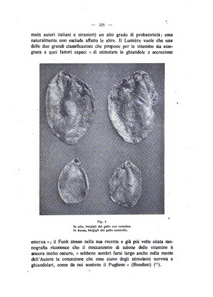 La clinica veterinaria rivista di medicina e chirurgia pratica degli animali domestici