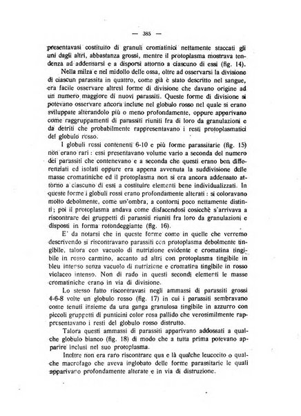 La clinica veterinaria rivista di medicina e chirurgia pratica degli animali domestici