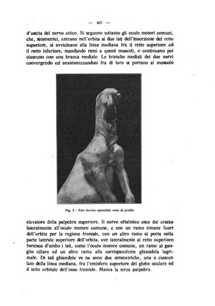 La clinica veterinaria rivista di medicina e chirurgia pratica degli animali domestici