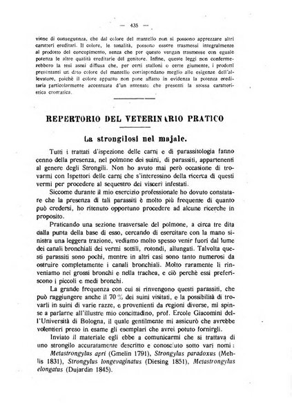 La clinica veterinaria rivista di medicina e chirurgia pratica degli animali domestici