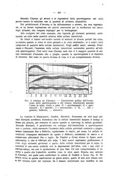 La clinica veterinaria rivista di medicina e chirurgia pratica degli animali domestici