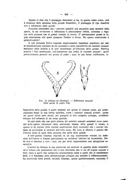 La clinica veterinaria rivista di medicina e chirurgia pratica degli animali domestici