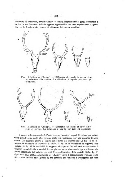 La clinica veterinaria rivista di medicina e chirurgia pratica degli animali domestici