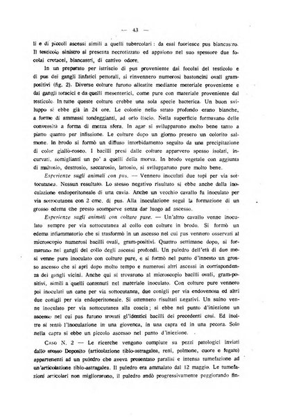 La clinica veterinaria rivista di medicina e chirurgia pratica degli animali domestici