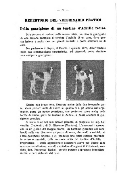 La clinica veterinaria rivista di medicina e chirurgia pratica degli animali domestici