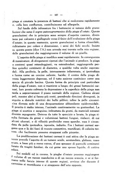 La clinica veterinaria rivista di medicina e chirurgia pratica degli animali domestici