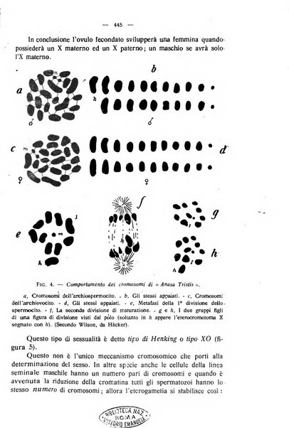 La clinica veterinaria rivista di medicina e chirurgia pratica degli animali domestici