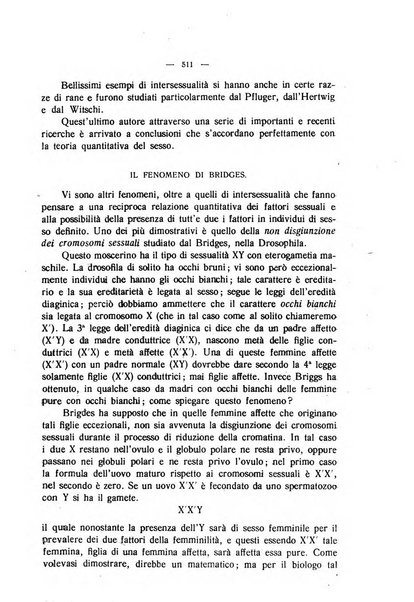 La clinica veterinaria rivista di medicina e chirurgia pratica degli animali domestici