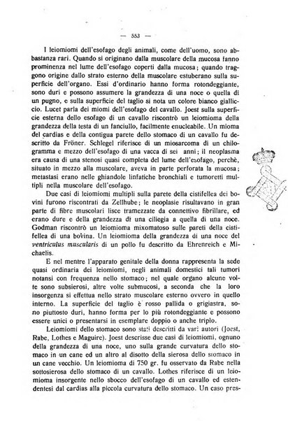 La clinica veterinaria rivista di medicina e chirurgia pratica degli animali domestici