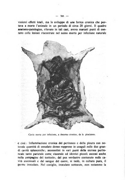 La clinica veterinaria rivista di medicina e chirurgia pratica degli animali domestici