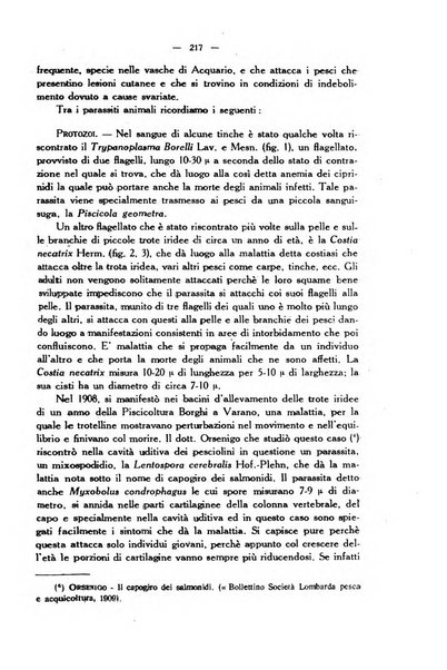 La clinica veterinaria rivista di medicina e chirurgia pratica degli animali domestici