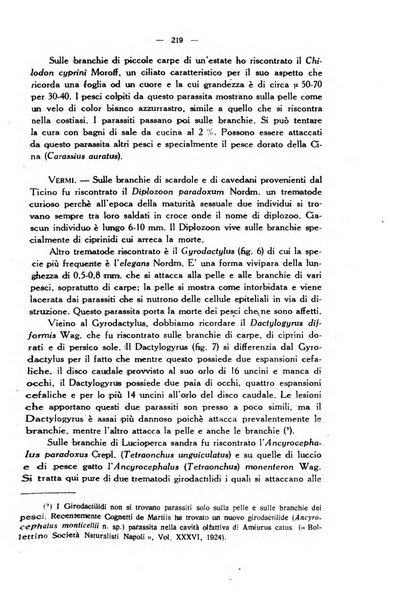 La clinica veterinaria rivista di medicina e chirurgia pratica degli animali domestici