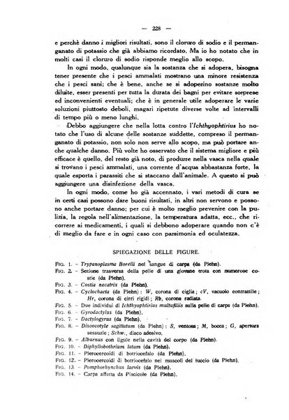 La clinica veterinaria rivista di medicina e chirurgia pratica degli animali domestici