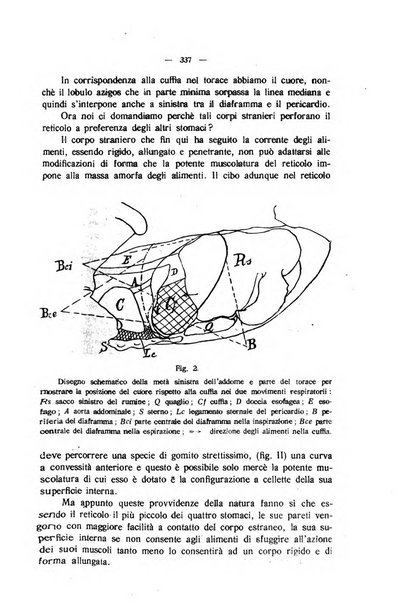 La clinica veterinaria rivista di medicina e chirurgia pratica degli animali domestici